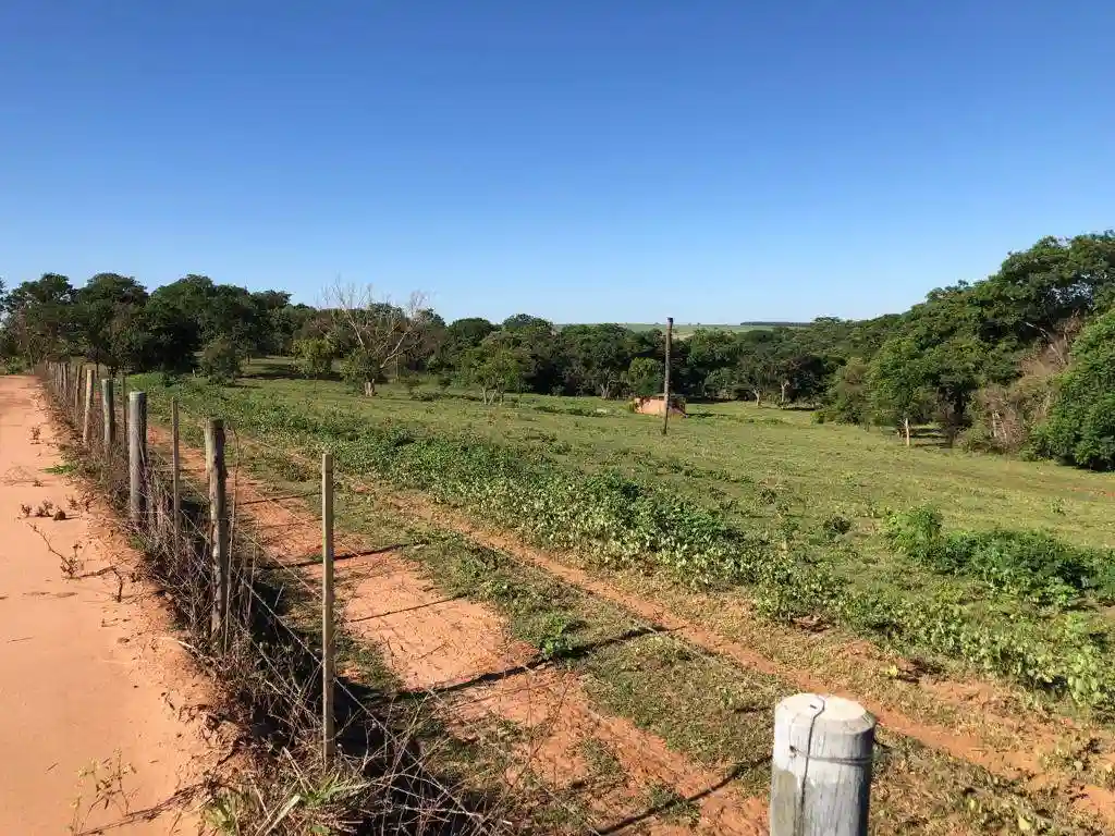Fazenda / Sítio / Chácara  à venda, 556600m² — foto 9 de 23