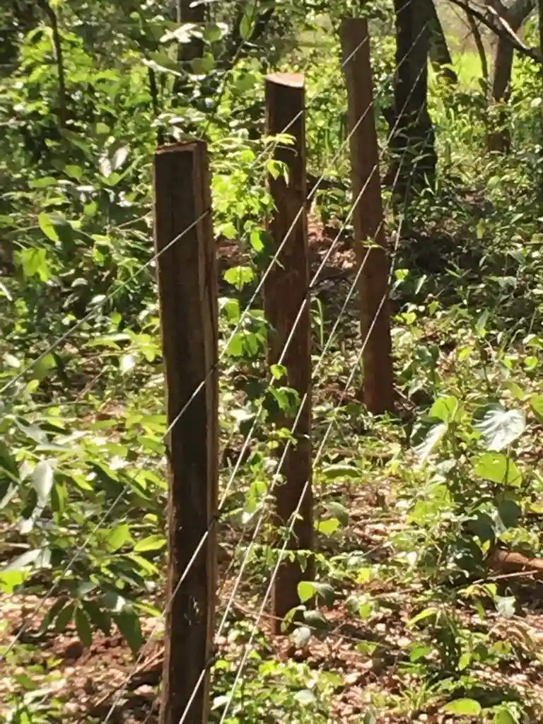 Fazenda / Sítio / Chácara  à venda, 556600m² — foto 22 de 23
