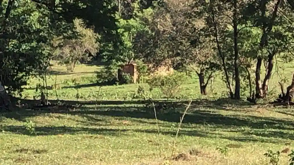 Fazenda / Sítio / Chácara  à venda, 556600m² — foto 18 de 23