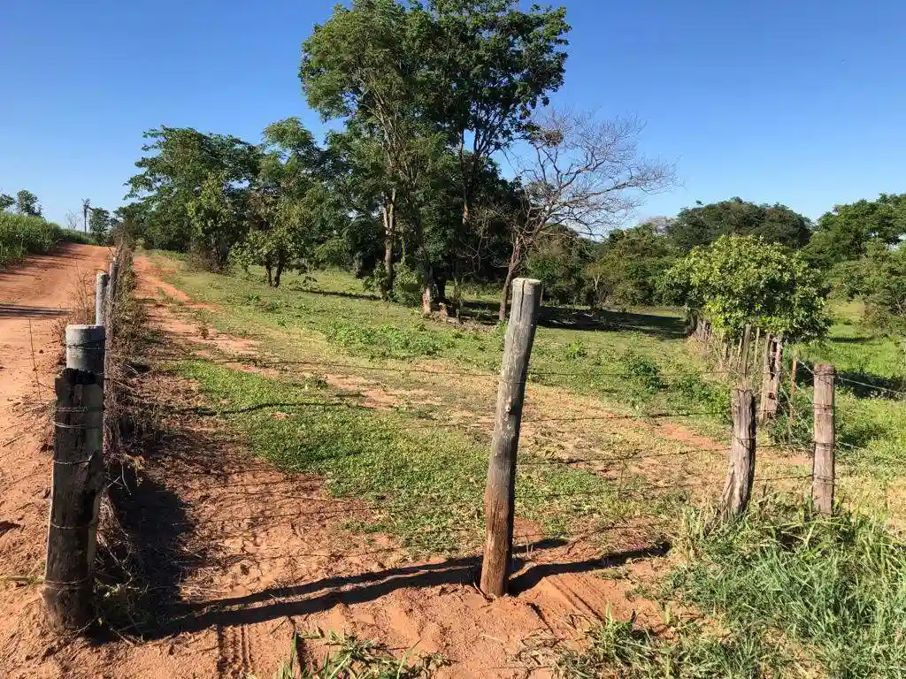 Fazenda / Sítio / Chácara  à venda, 556600m² — foto 10 de 23