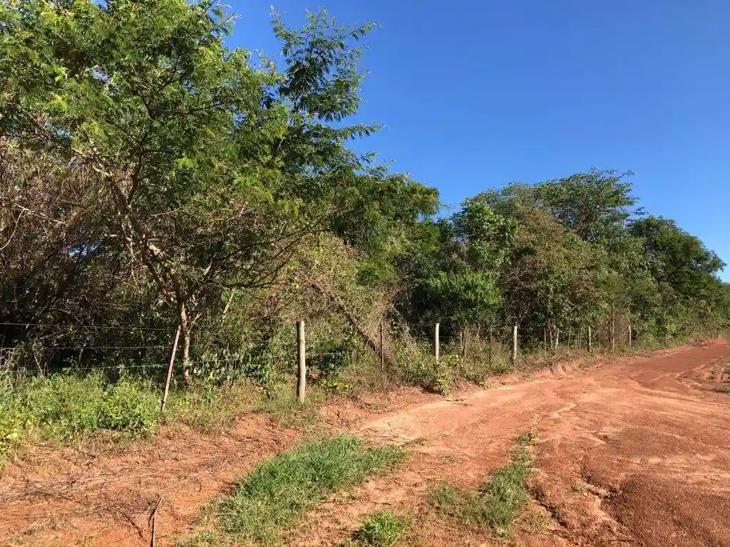 Fazenda / Sítio / Chácara  à venda, 556600m² — foto 4 de 23