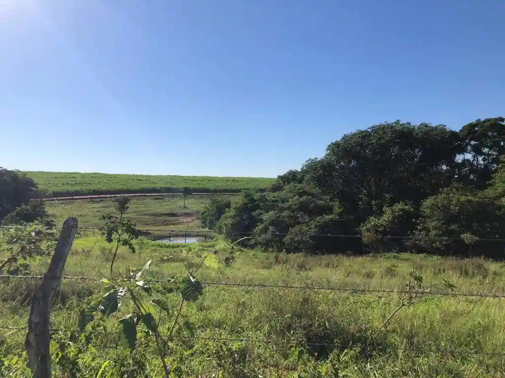 Fazenda / Sítio / Chácara  à venda, 556600m² — foto 11 de 23