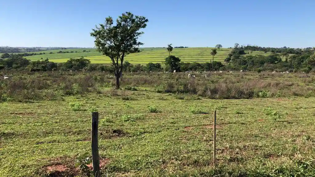 Fazenda / Sítio / Chácara  à venda, 556600m² — foto 14 de 23