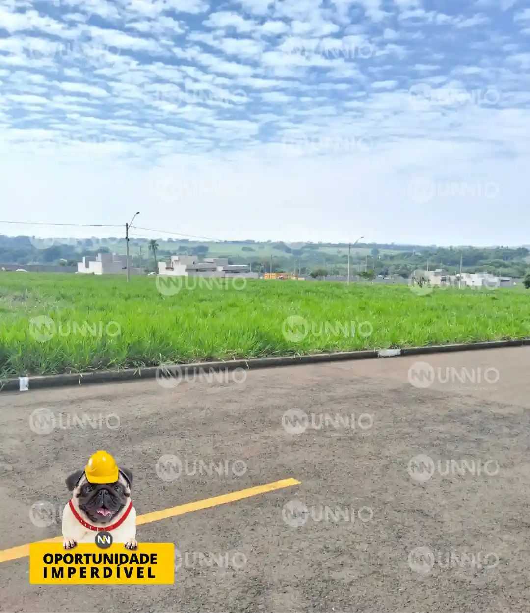 Terreno / Lote / Condomínio  à venda, 262m² — foto 9 de 11