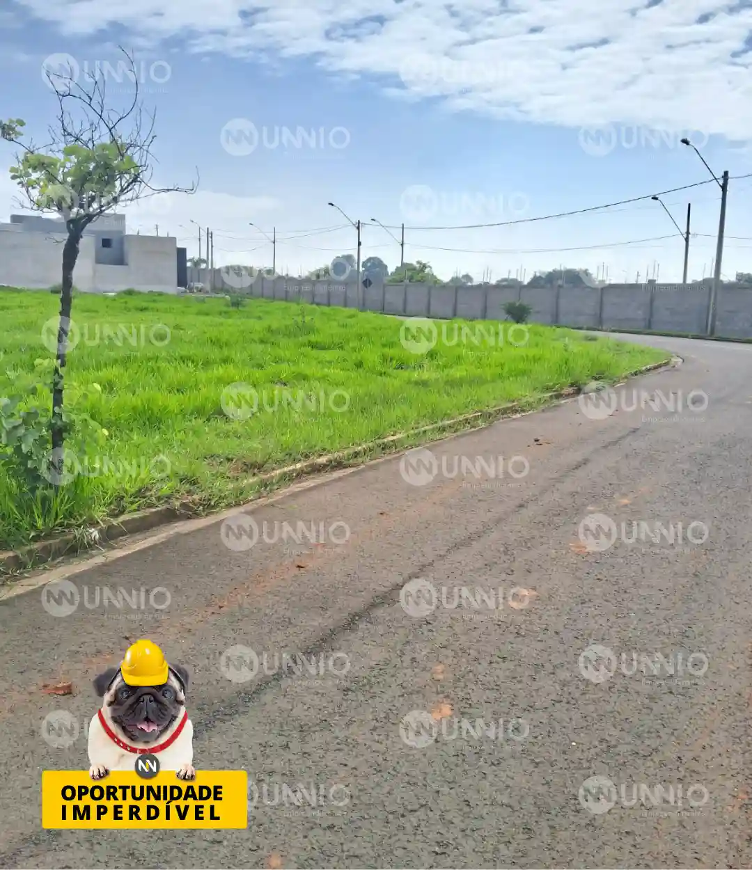 Terreno / Lote / Condomínio  à venda, 262m² — foto 2 de 11