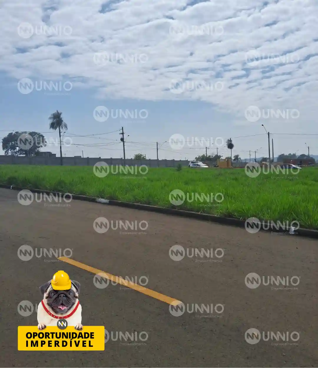 Terreno / Lote / Condomínio  à venda, 262m² — foto 3 de 11