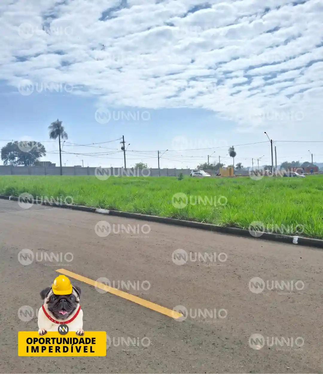 Terreno / Lote / Condomínio  à venda, 262m² — foto 11 de 11