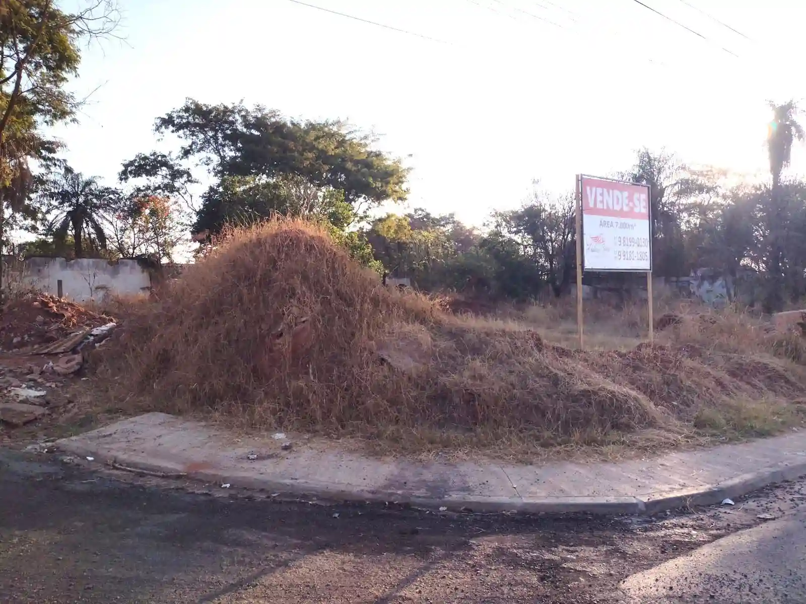 Área Comercial  à venda, 7200m² — foto 4 de 5