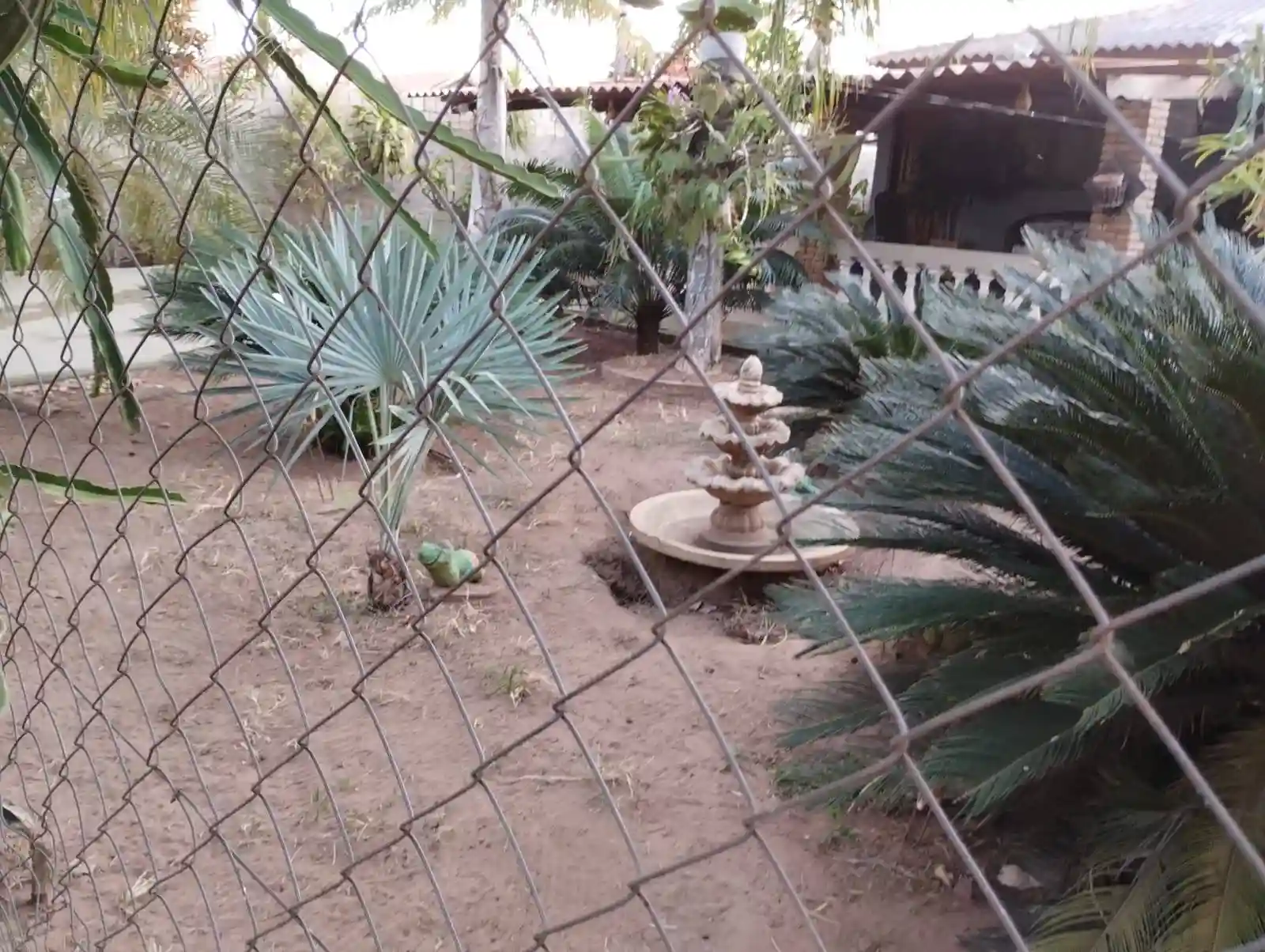 Fazenda / Sítio / Chácara com 2 quartos à venda, 2500m² — foto 23 de 35