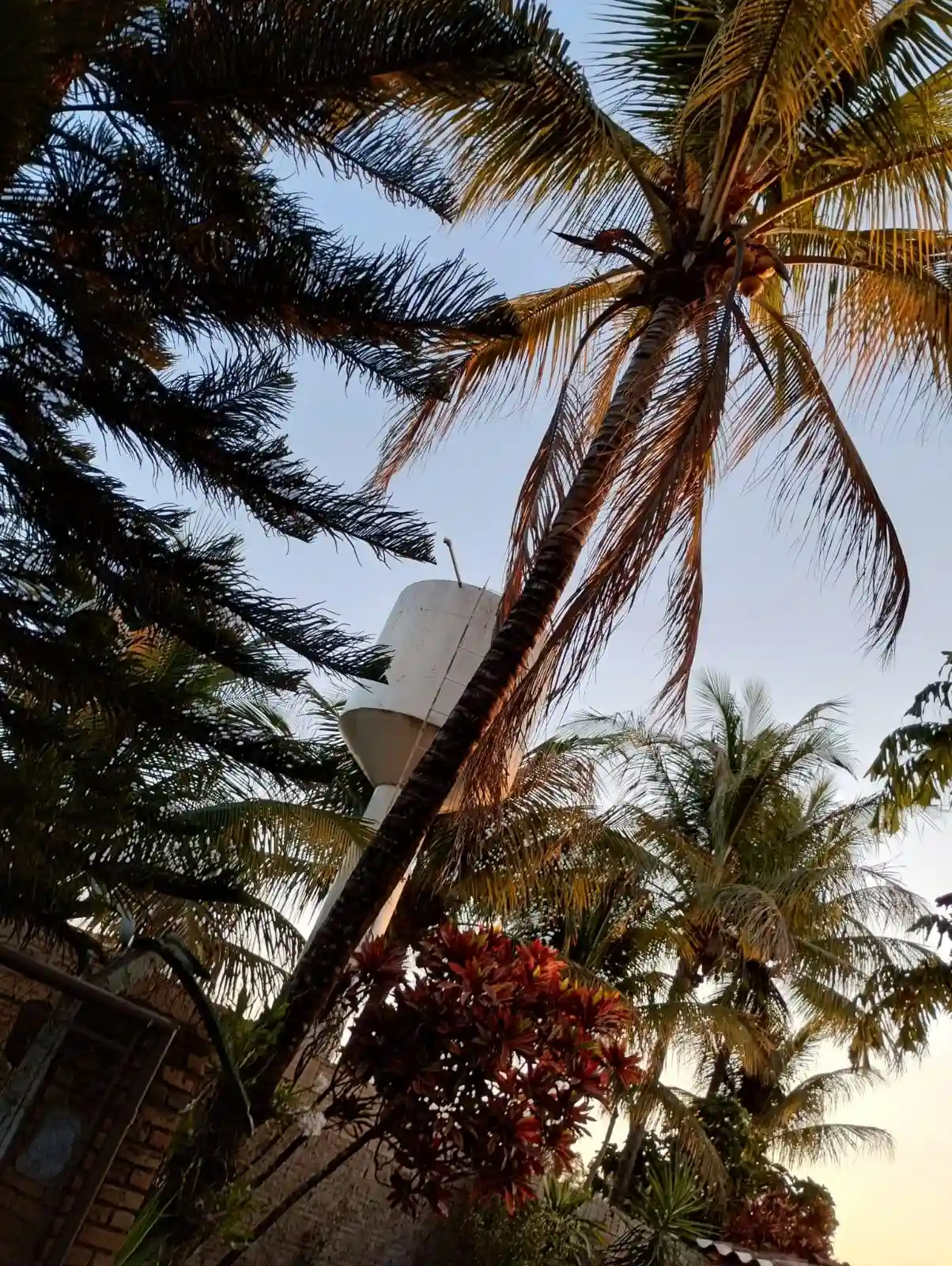 Fazenda / Sítio / Chácara com 2 quartos à venda, 2500m² — foto 29 de 35