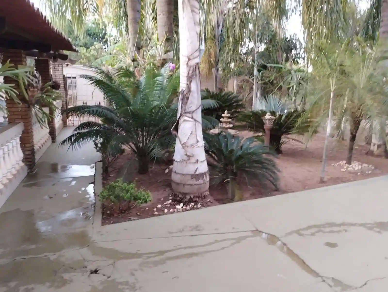 Fazenda / Sítio / Chácara com 2 quartos à venda, 2500m² — foto 26 de 35