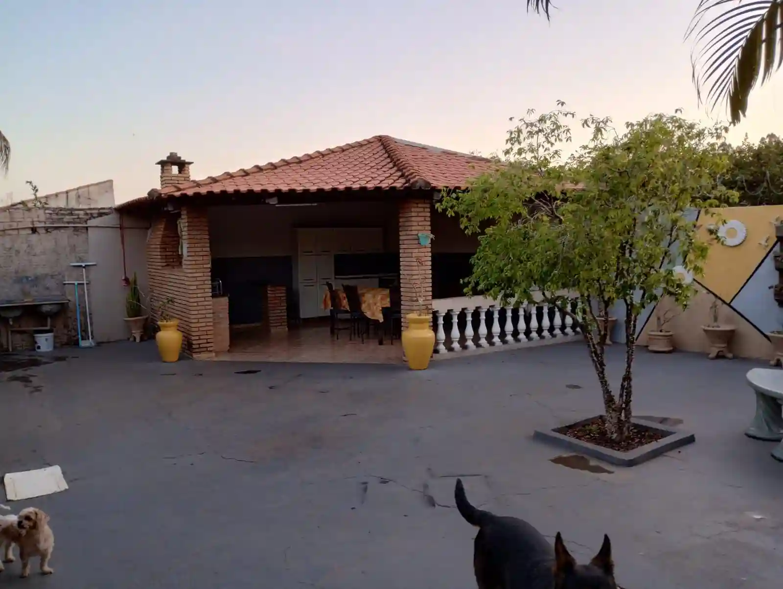 Fazenda / Sítio / Chácara com 2 quartos à venda, 2500m² — foto 20 de 35