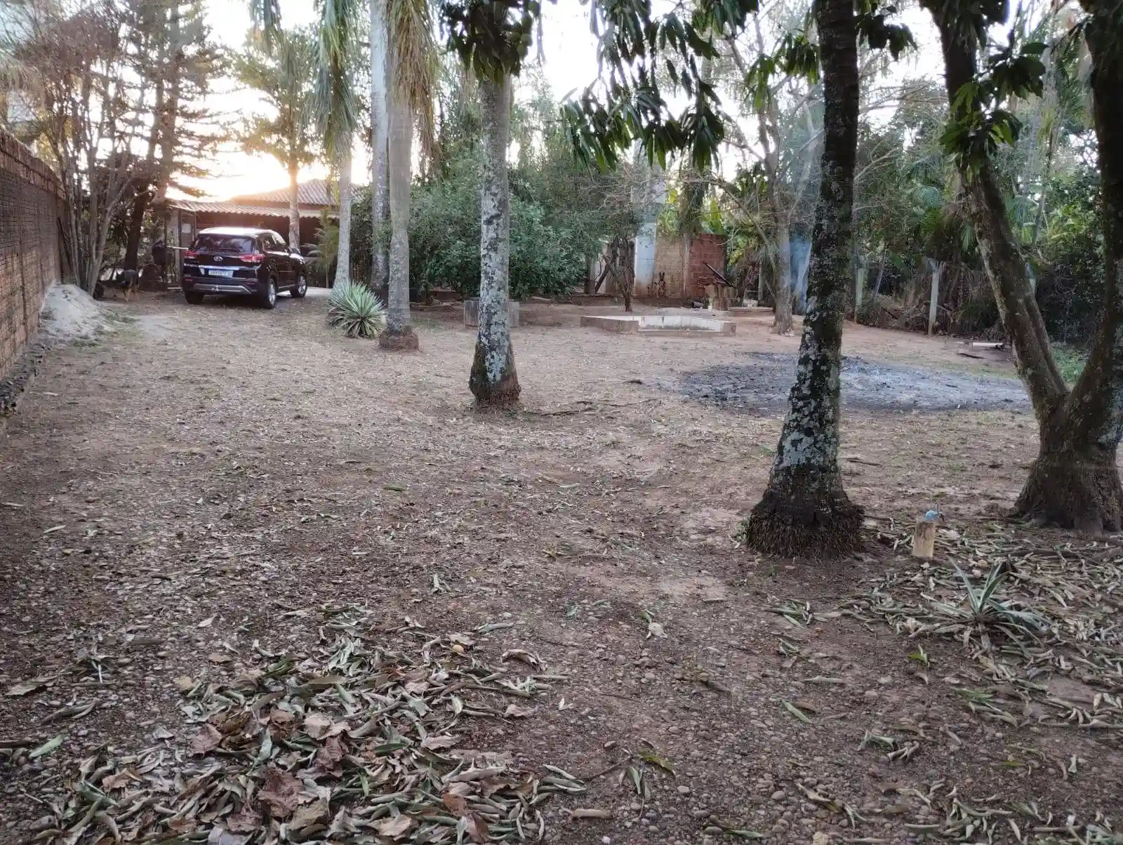 Fazenda / Sítio / Chácara com 2 quartos à venda, 2500m² — foto 11 de 35
