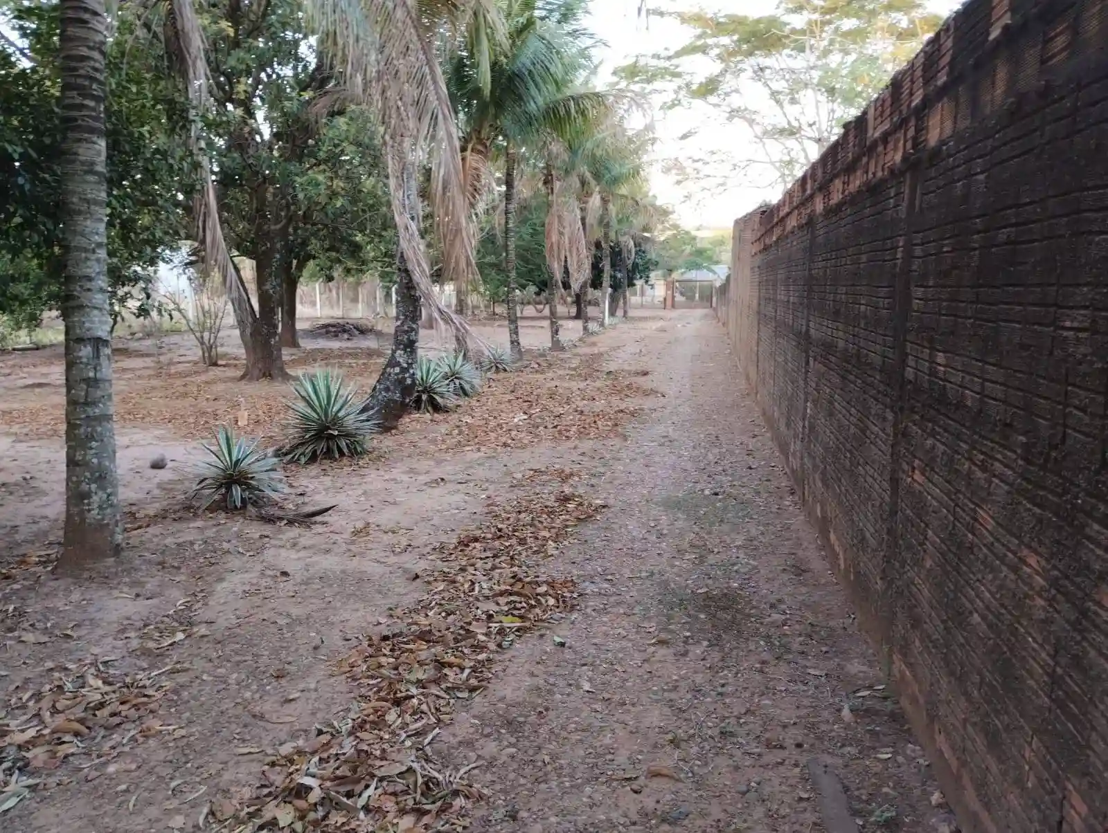 Fazenda / Sítio / Chácara com 2 quartos à venda, 2500m² — foto 27 de 35