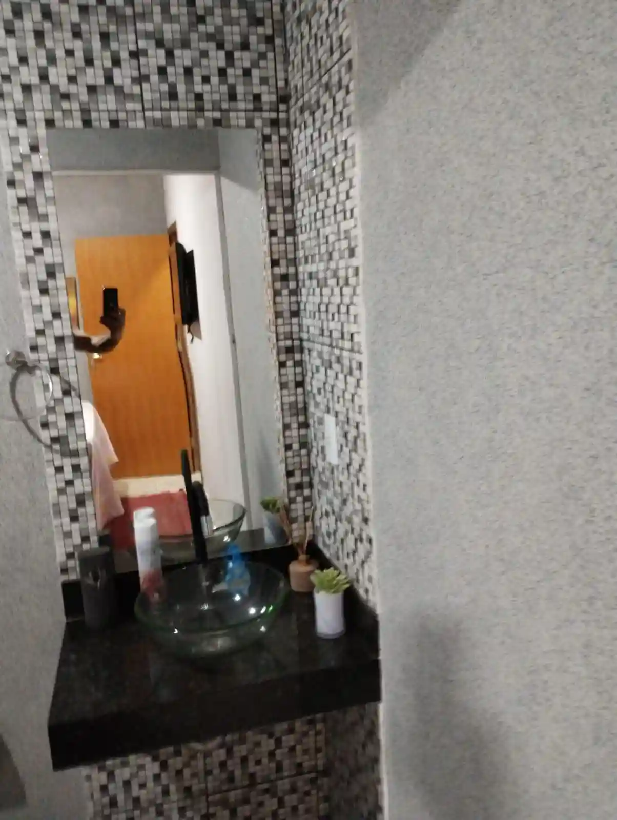 Fazenda / Sítio / Chácara com 2 quartos à venda, 2500m² — foto 4 de 35