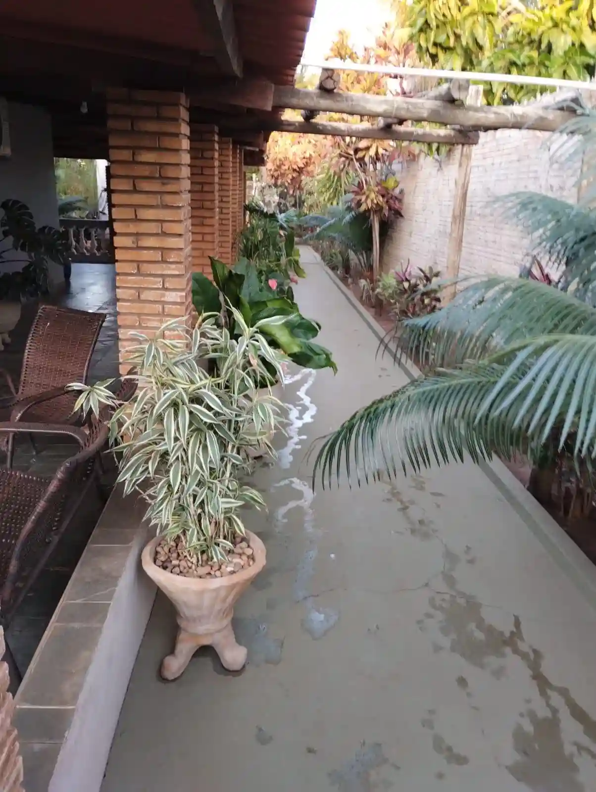 Fazenda / Sítio / Chácara com 2 quartos à venda, 2500m² — foto 19 de 35