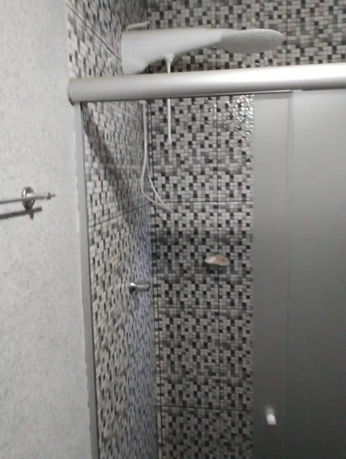 Fazenda / Sítio / Chácara com 2 quartos à venda, 2500m² — foto 5 de 35