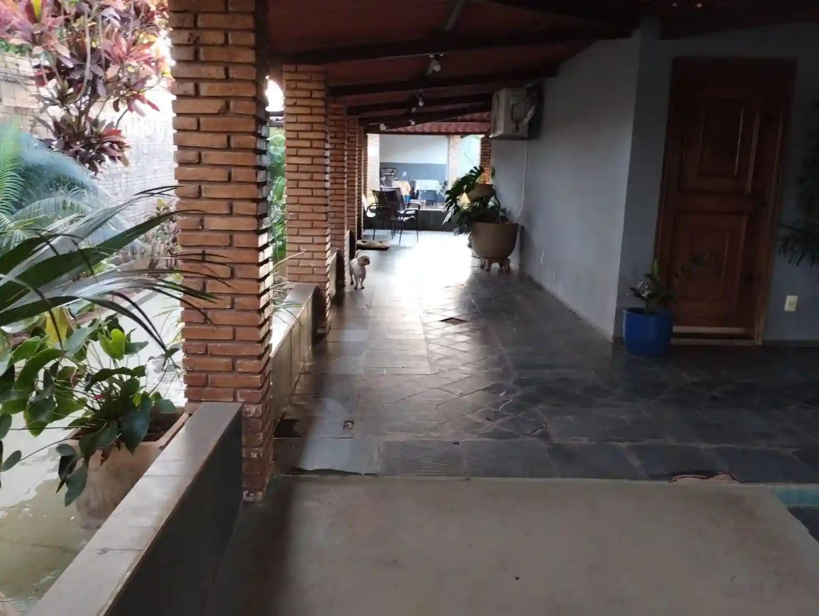 Fazenda / Sítio / Chácara com 2 quartos à venda, 2500m² — foto 28 de 35
