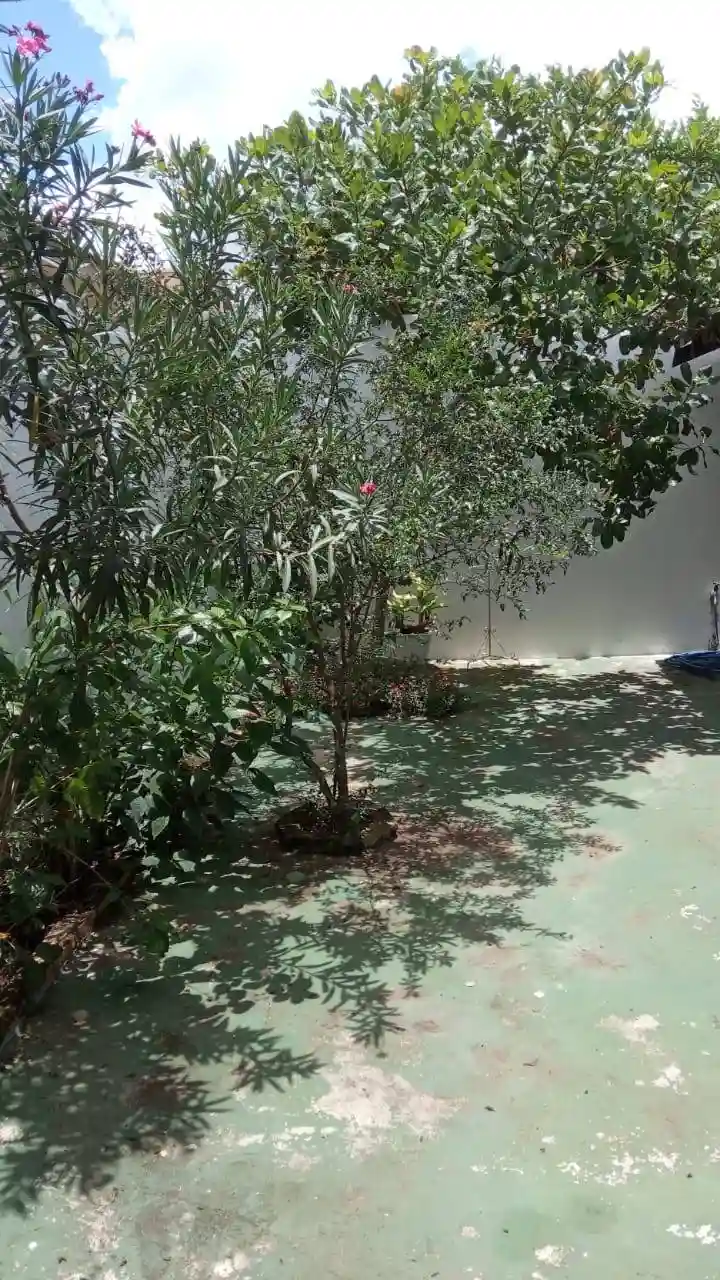 Casa com 2 quartos à venda, 180m² — foto 12 de 13