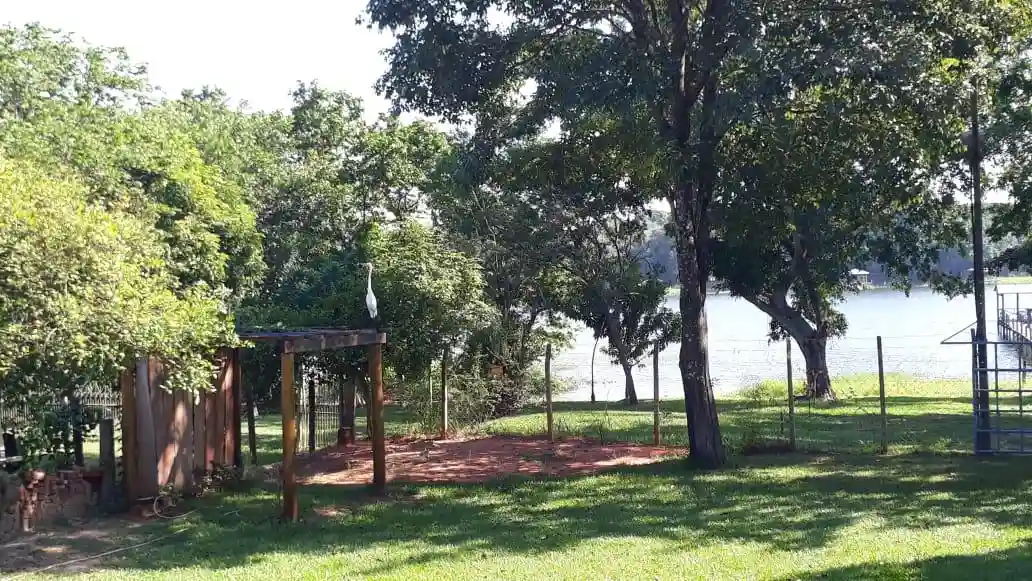 Fazenda / Sítio / Chácara  à venda, 1000m² — foto 11 de 33