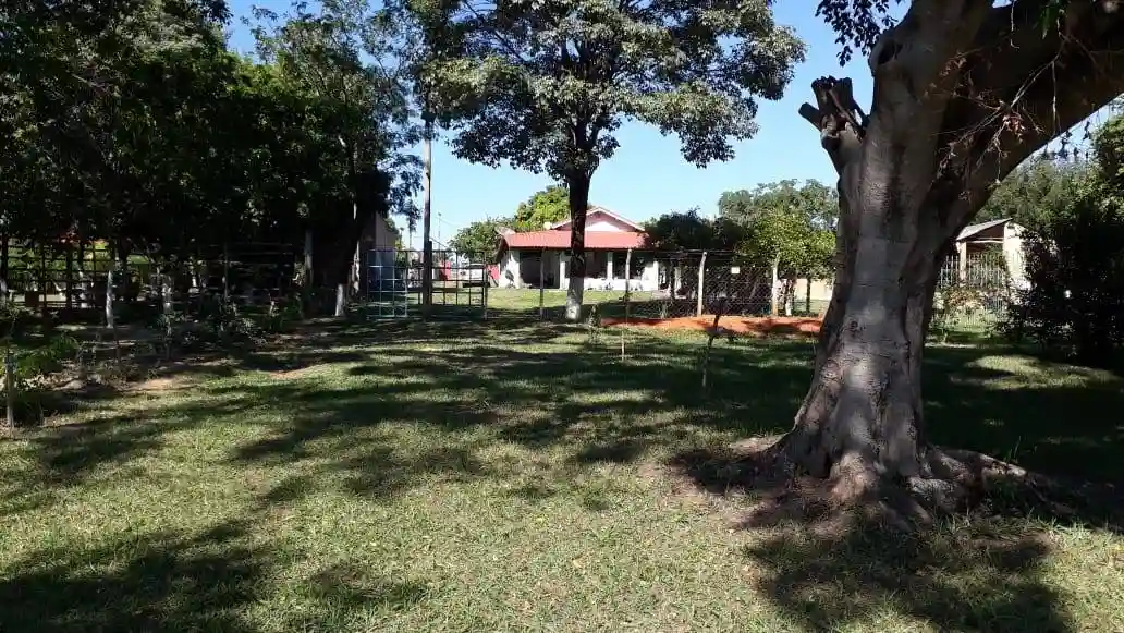 Fazenda / Sítio / Chácara  à venda, 1000m² — foto 10 de 33