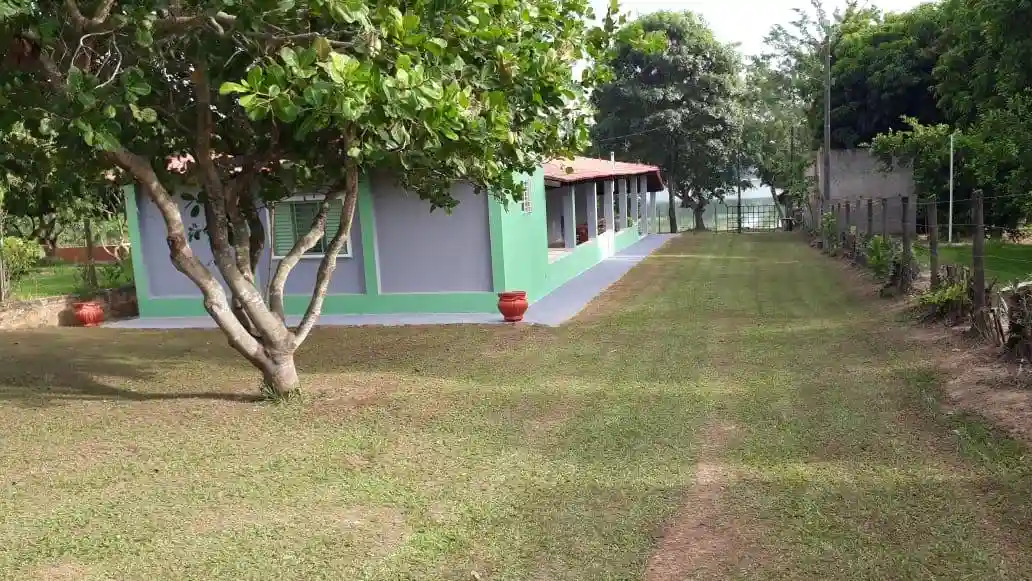 Fazenda / Sítio / Chácara  à venda, 1000m² — foto 20 de 33