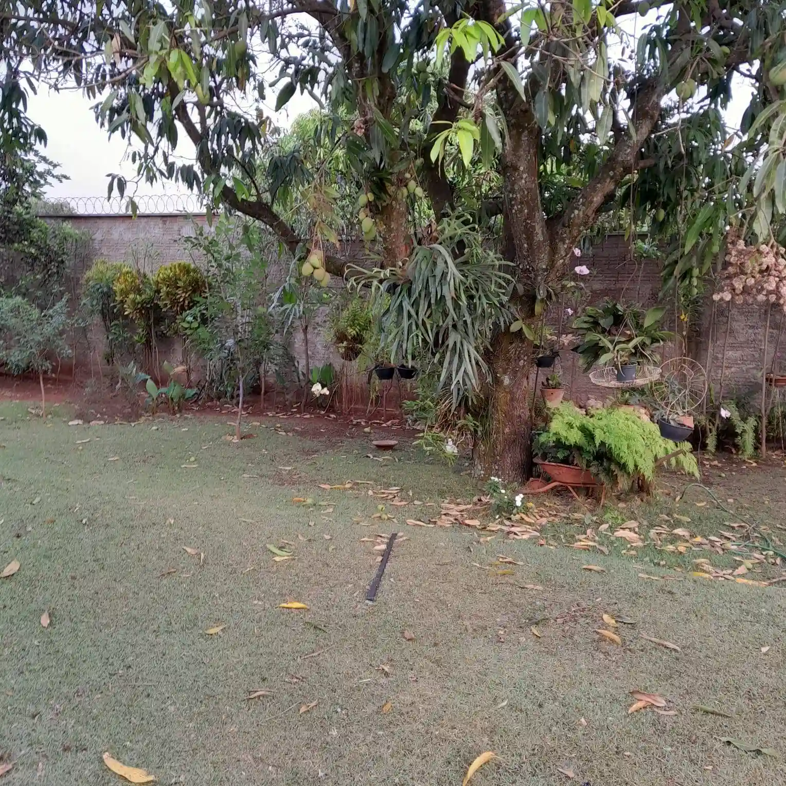 Fazenda / Sítio / Chácara com 3 quartos à venda, 1200m² — foto 3 de 16