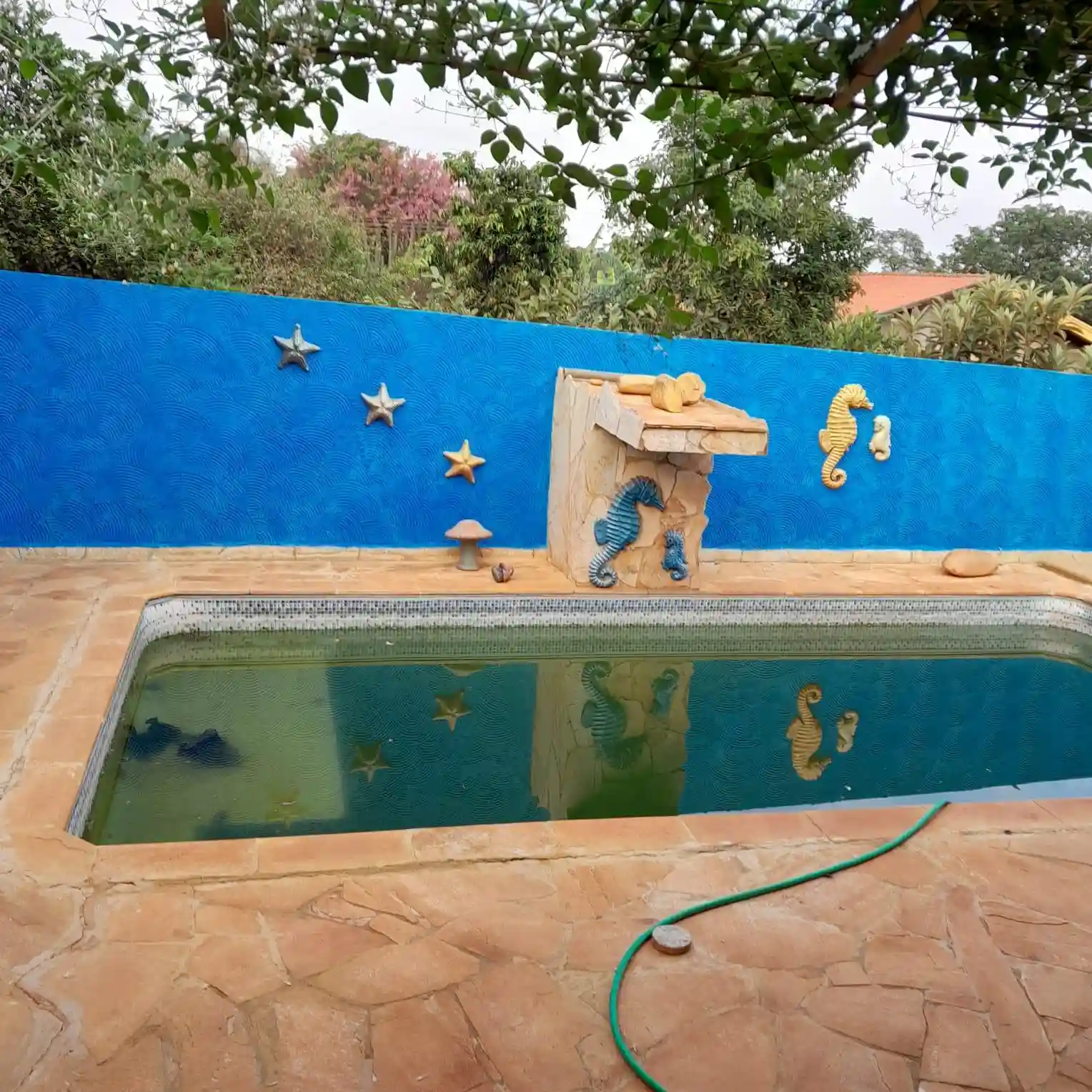 Fazenda / Sítio / Chácara com 3 quartos à venda, 1200m² — foto 1 de 16
