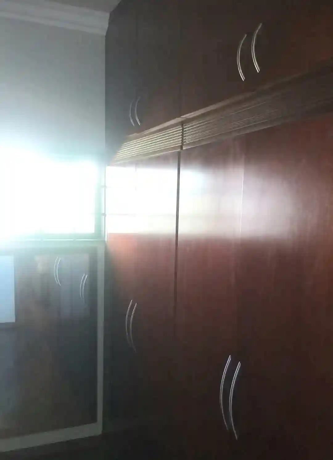 Casa com 4 quartos para aluguel, 530m² — foto 48 de 60