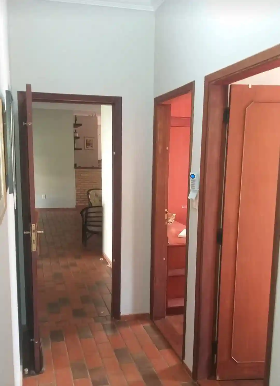 Casa com 4 quartos para aluguel, 530m² — foto 44 de 60