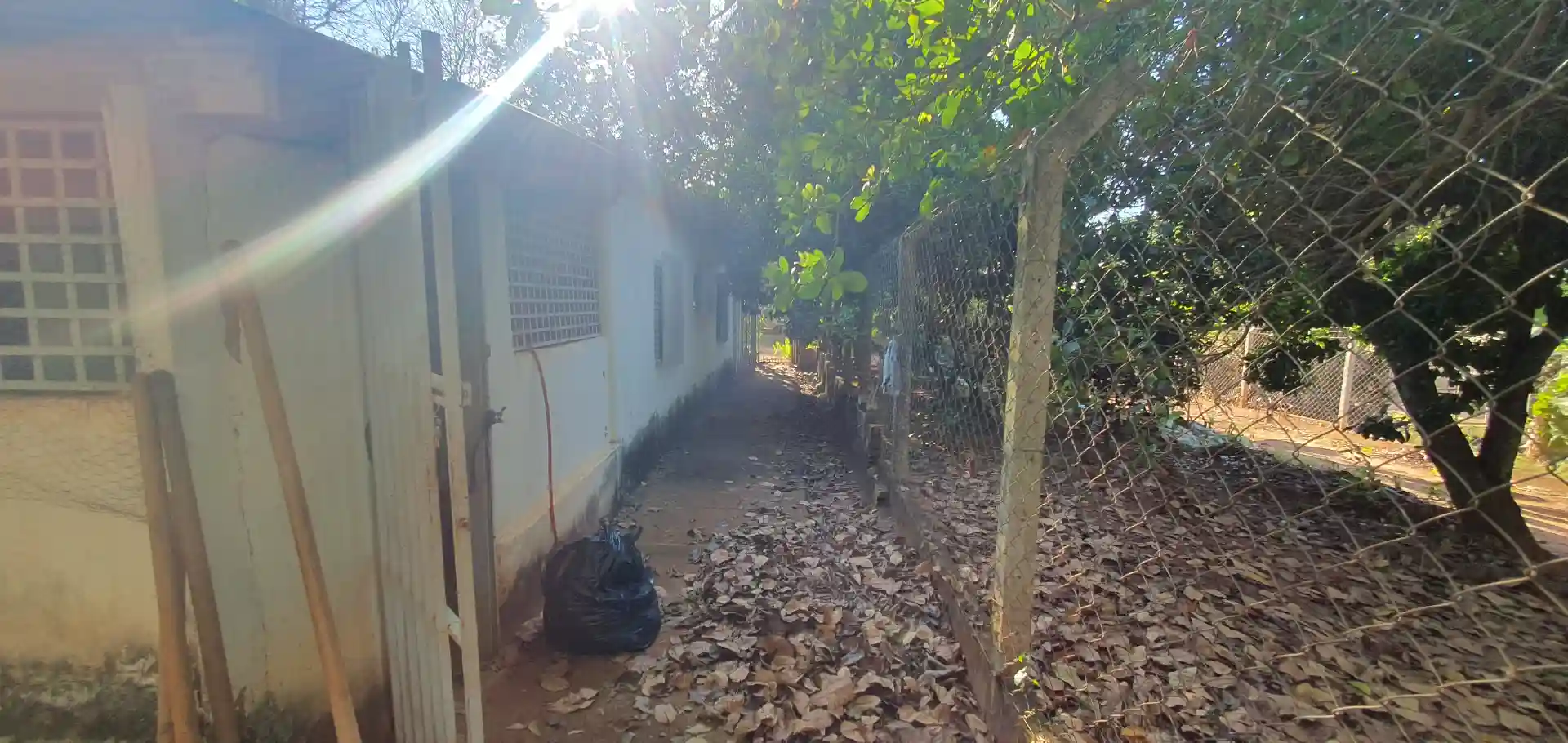 Fazenda / Sítio / Chácara com 2 quartos à venda, 1000m² — foto 14 de 22
