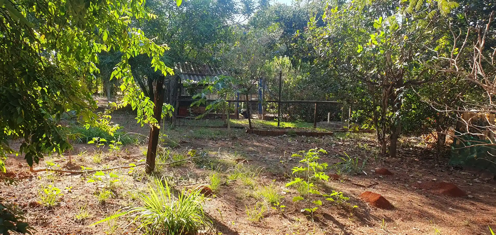 Fazenda / Sítio / Chácara com 2 quartos à venda, 1000m² — foto 21 de 22