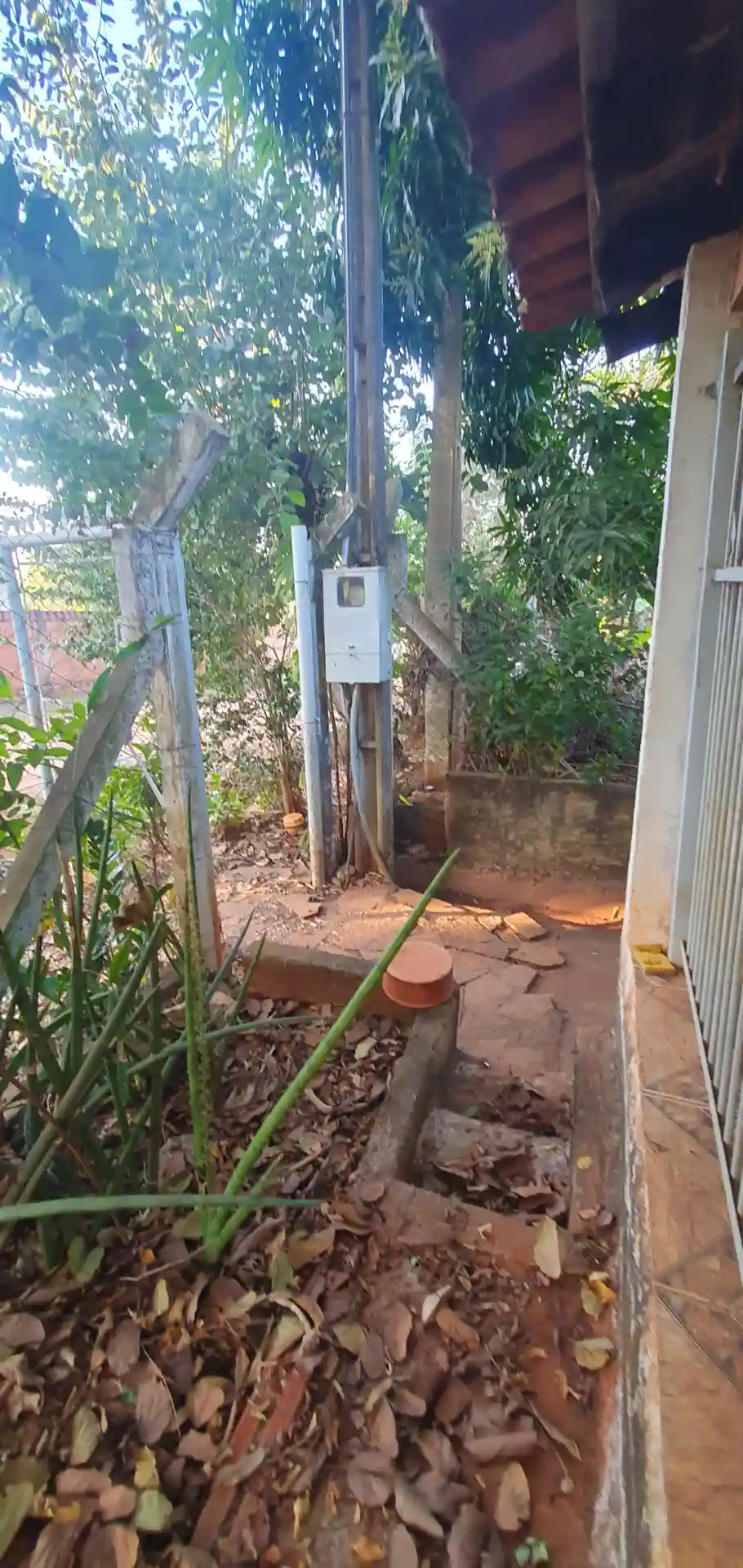Fazenda / Sítio / Chácara com 2 quartos à venda, 1000m² — foto 2 de 22