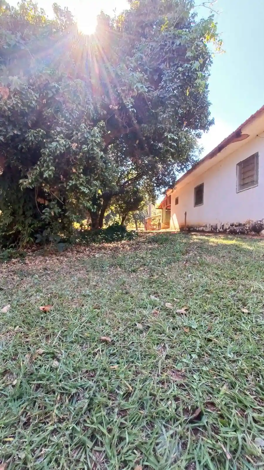 Fazenda / Sítio / Chácara  à venda, 1158m² — foto 12 de 26