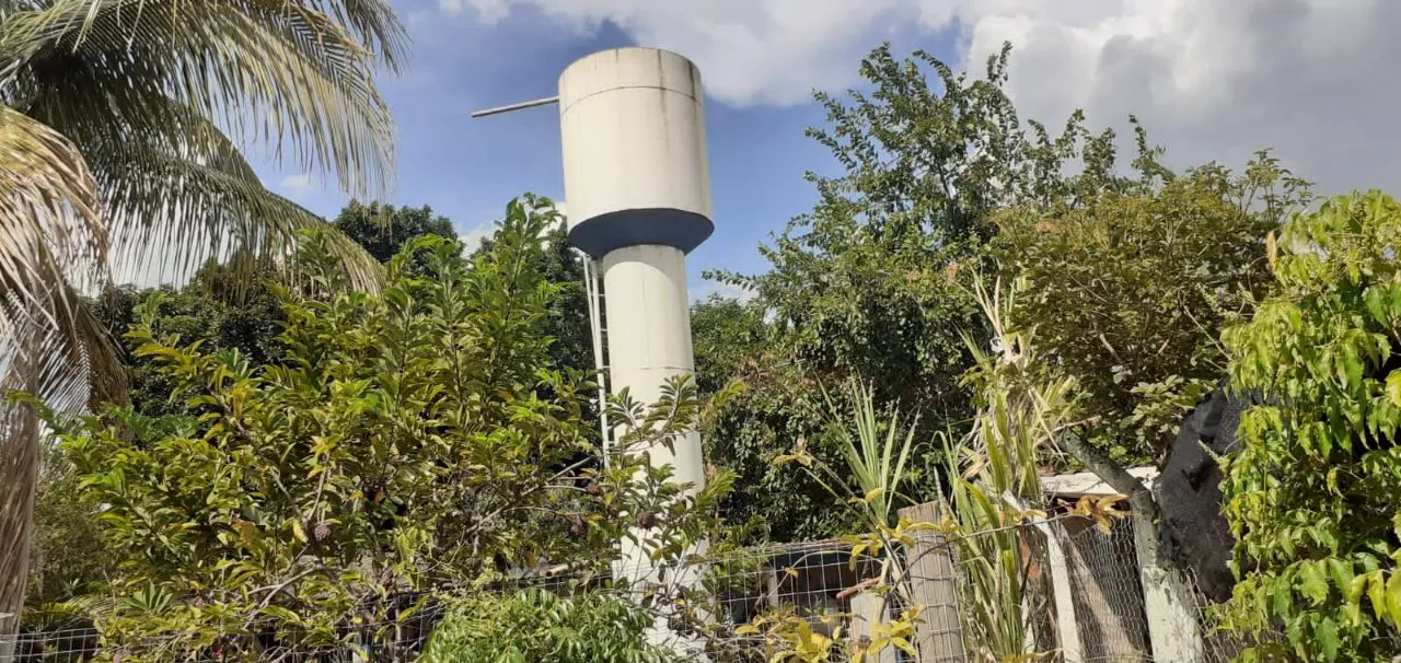 Fazenda / Sítio / Chácara à venda — foto 6 de 16