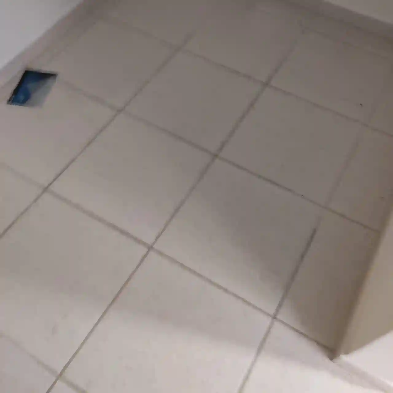 Loja / Salão / Ponto Comercial  à venda, 48m² — foto 6 de 11