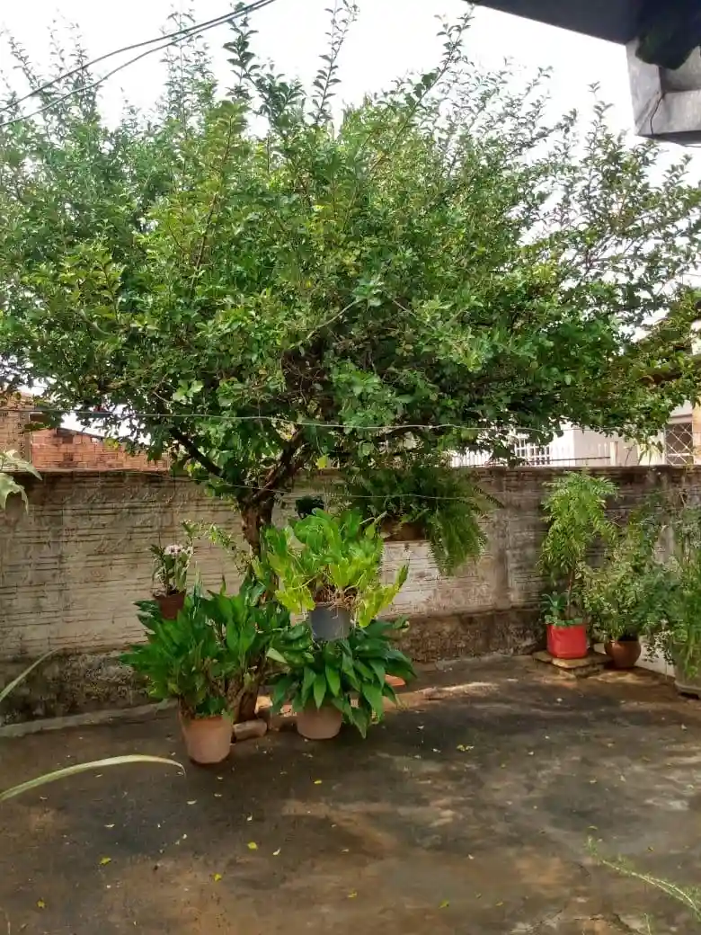 Casa de Vila com 5 quartos à venda, 360m² — foto 13 de 14