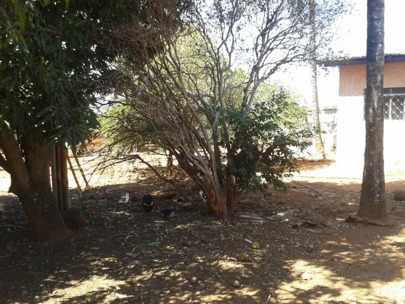 Fazenda / Sítio / Chácara à venda — foto 5 de 11