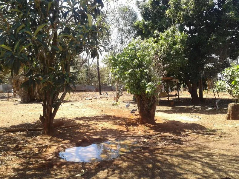 Fazenda / Sítio / Chácara à venda — foto 6 de 11