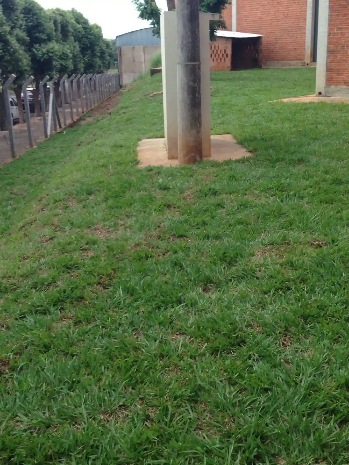 Galpão / Depósito / Armazém  para aluguel, 2500m² — foto 2 de 18