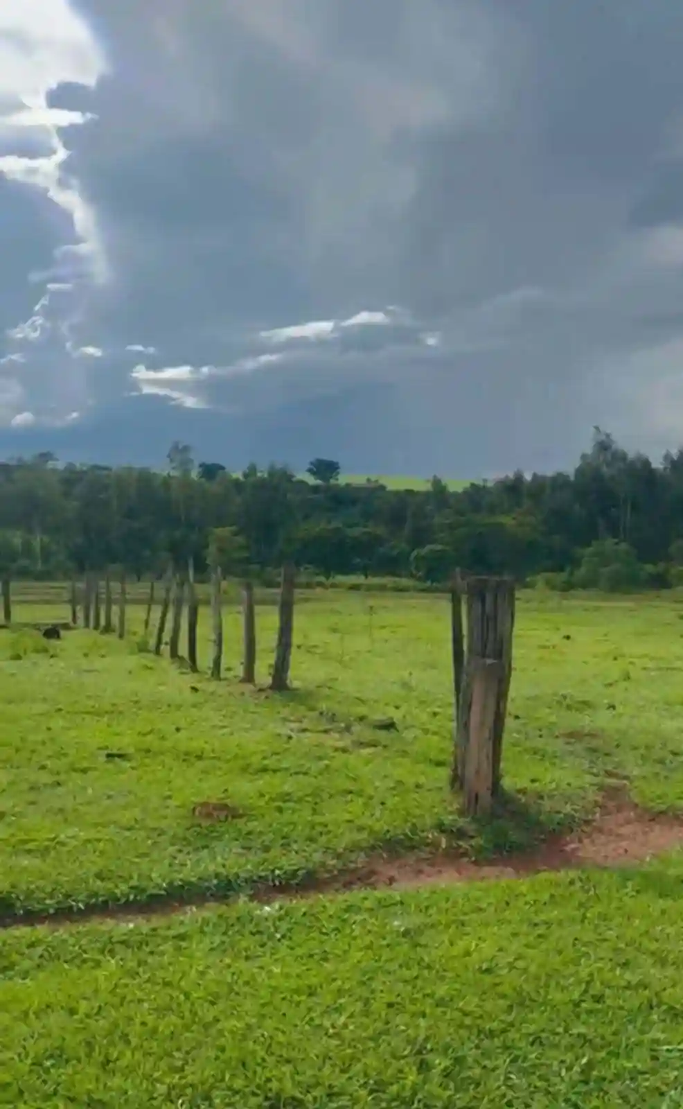 Fazenda / Sítio / Chácara  à venda, 411400m² — foto 8 de 9