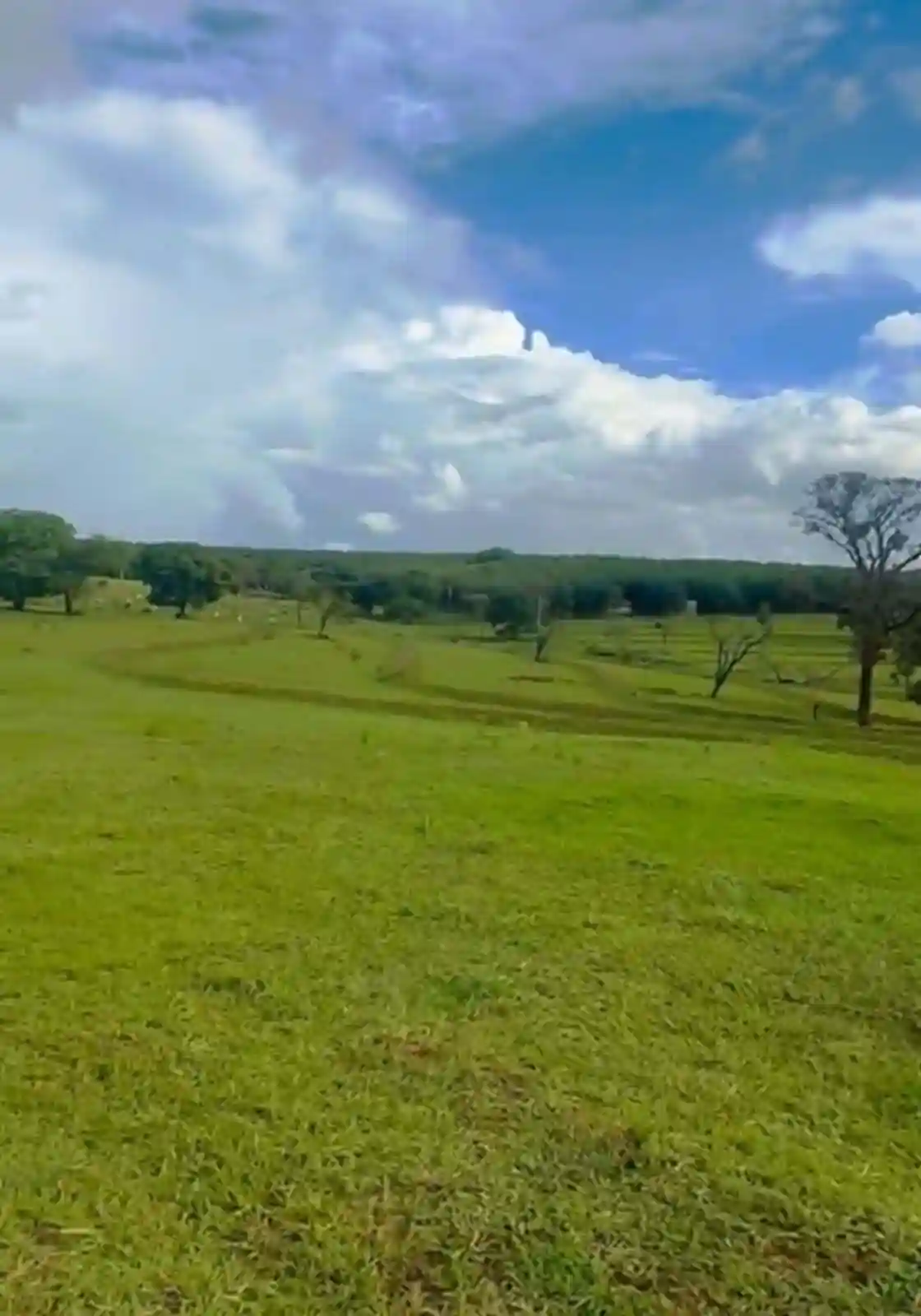 Fazenda / Sítio / Chácara  à venda, 411400m² — foto 3 de 9