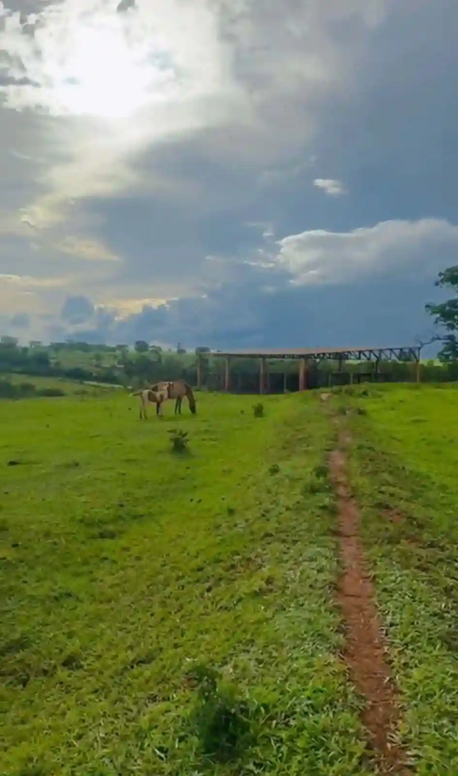 Fazenda / Sítio / Chácara  à venda, 411400m² — foto 5 de 9