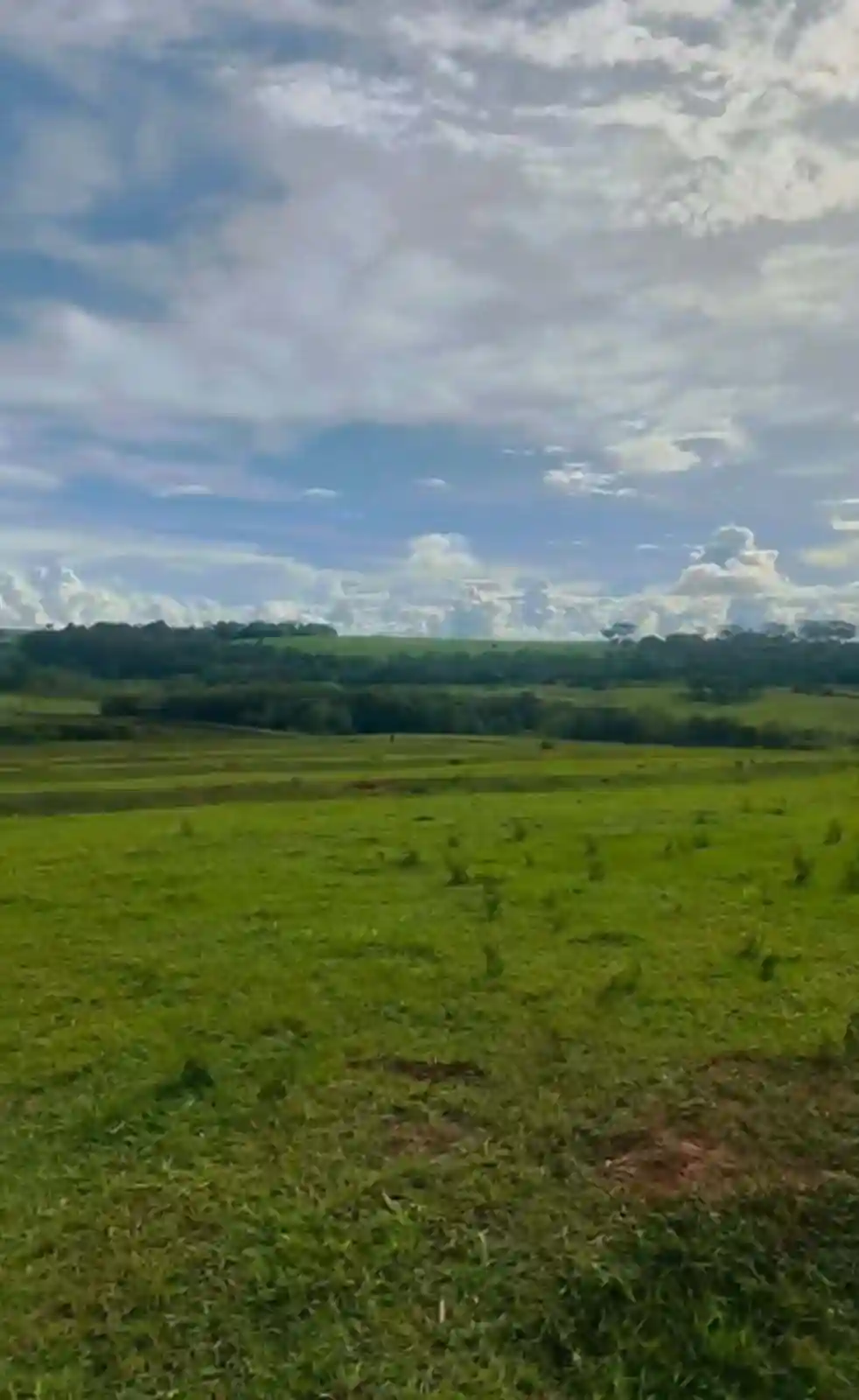 Fazenda / Sítio / Chácara  à venda, 411400m² — foto 4 de 9