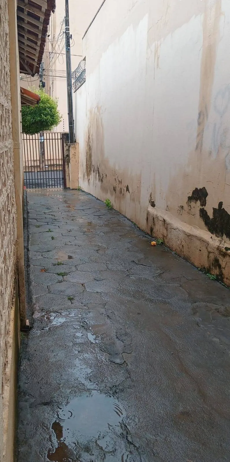 Casa com 2 quartos à venda, 242m² — foto 7 de 11