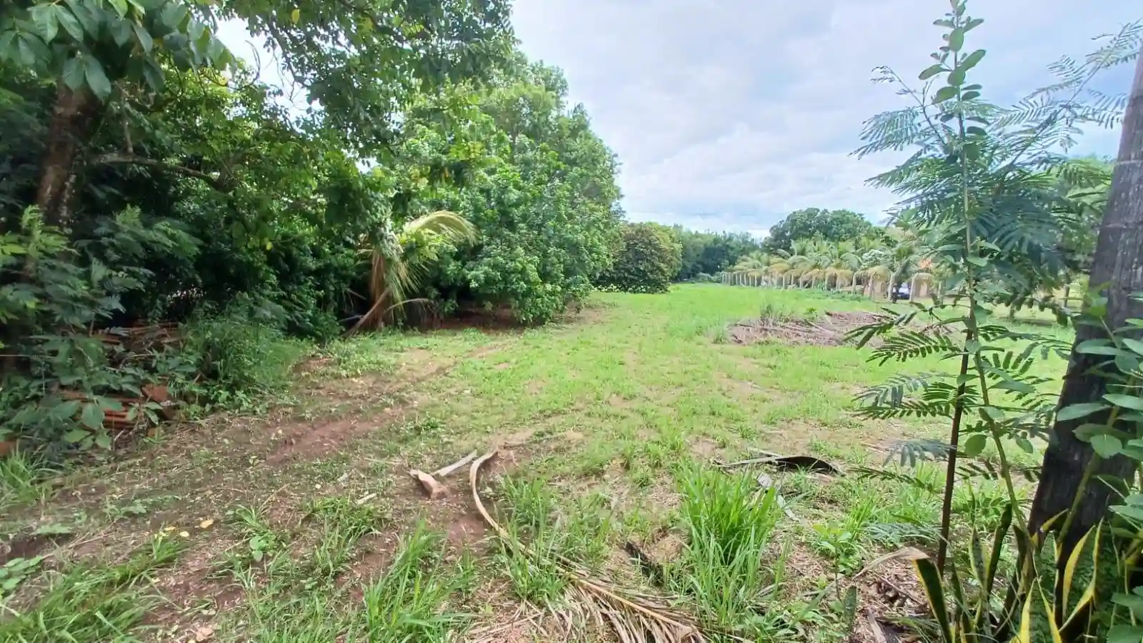 Fazenda / Sítio / Chácara  à venda, 2558m² — foto 2 de 4