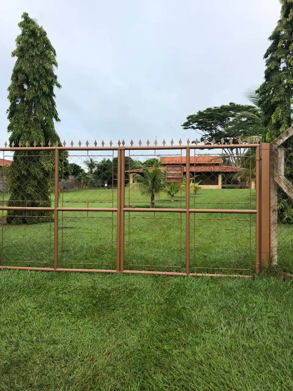 Fazenda / Sítio / Chácara com 1 quarto à venda, 5000m² — foto 3 de 15
