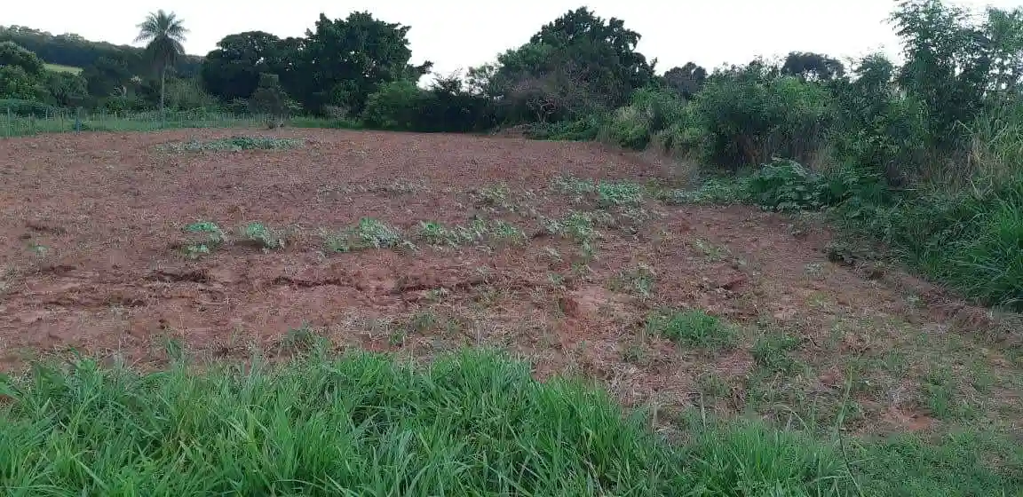 Fazenda / Sítio / Chácara  à venda, 2500m² — foto 6 de 7