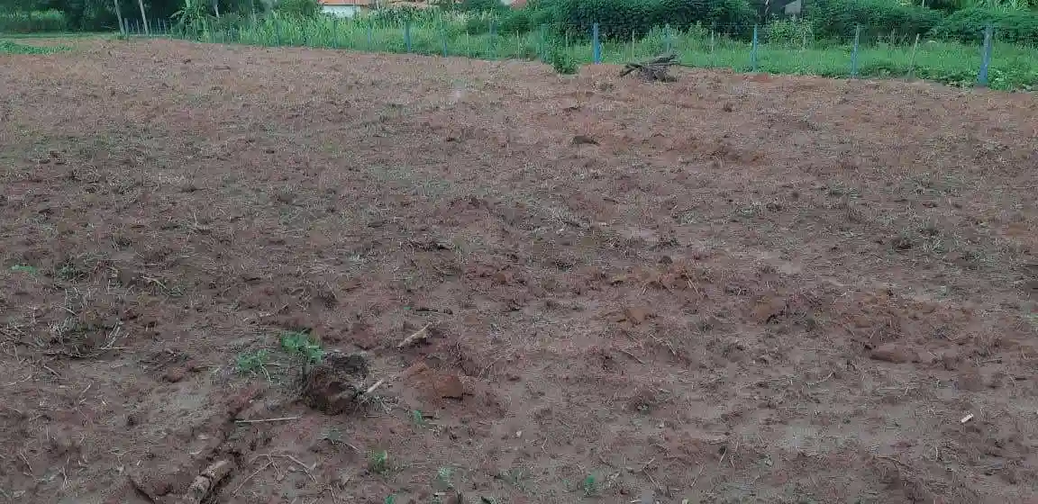 Fazenda / Sítio / Chácara  à venda, 2500m² — foto 5 de 7
