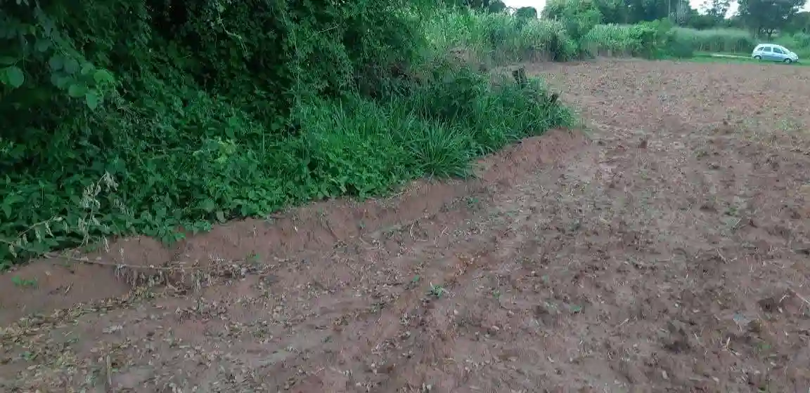 Fazenda / Sítio / Chácara  à venda, 2500m² — foto 7 de 7